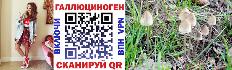 Псилоцибиновые грибы GOLDEN TEACHER  купить наркотики сайты  Новая Усмань 